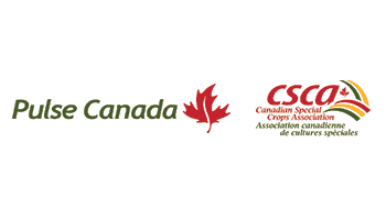CSN Collision Centers Logo